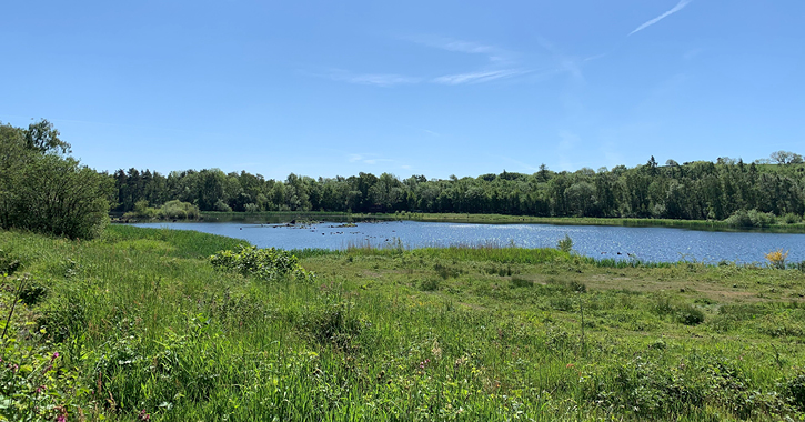 Low Barns Nature Reserve on a sunny day